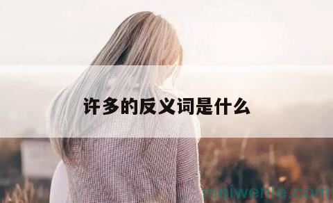 许多的反义词是什么