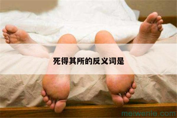 死得其所的反义词是