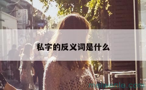 私字的反义词是什么