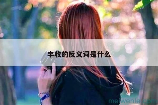 丰收的反义词是什么