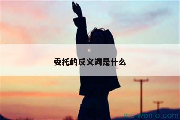 委托的反义词是什么