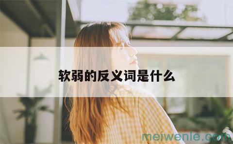 素雅的反义词是什么