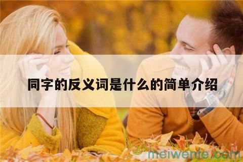 同字的反义词是什么