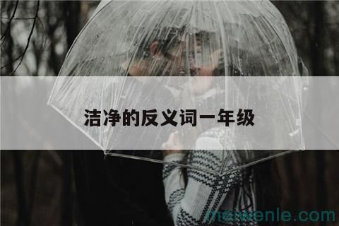 洁净的反义词一年级