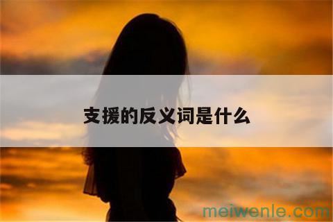 支援的反义词是什么