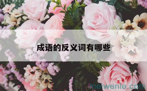 西沉的反义词是什么