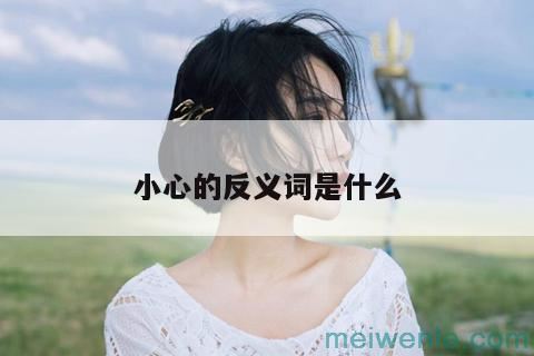 小心的反义词是什么