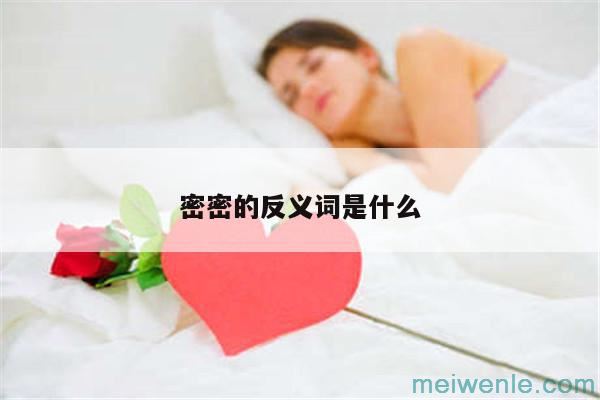 密密的反义词是什么