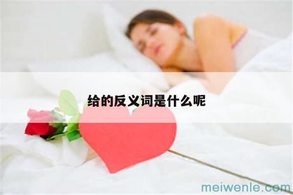 给的反义词是什么呢