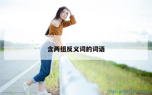 含两组反义词的词语