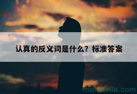 认真的反义词是什么？标准答案