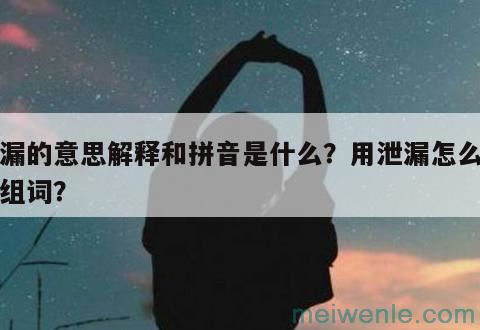 泄漏的意思解释和拼音是什么？用泄漏怎么造句组词？