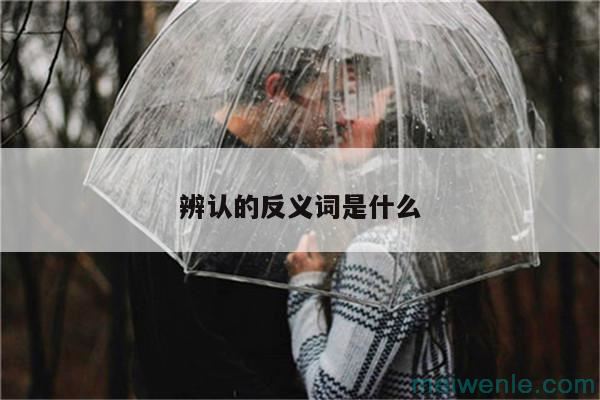 辨认的反义词是什么