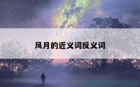 风月的近义词反义词