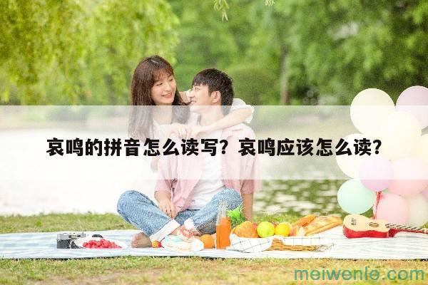 哀鸣的拼音怎么读写？哀鸣应该怎么读？