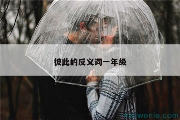 彼此的反义词一年级