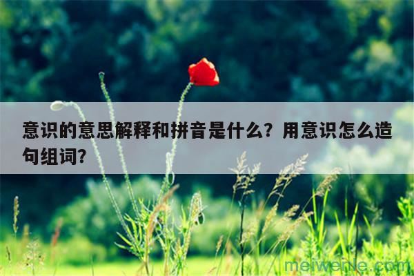 意识的意思解释和拼音是什么？用意识怎么造句组词？