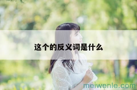 这个的反义词是什么