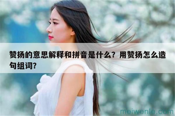 赞扬的意思解释和拼音是什么？用赞扬怎么造句组词？