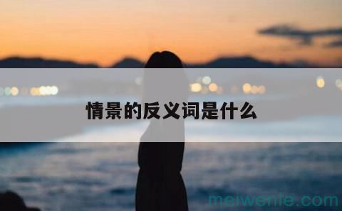 情景的反义词是什么