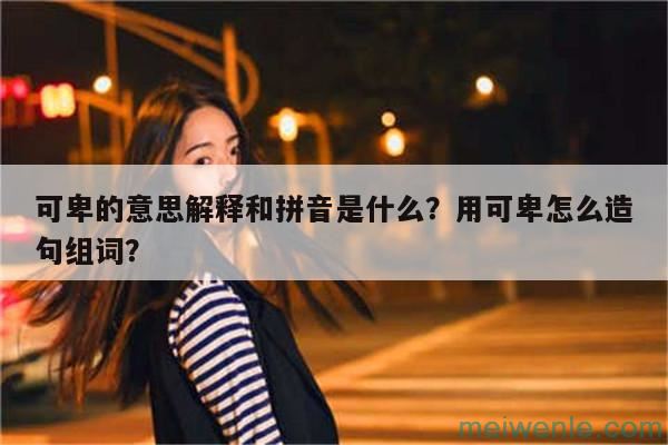 可卑的意思解释和拼音是什么？用可卑怎么造句组词？