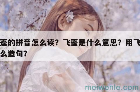 飞蓬的拼音怎么读？飞蓬是什么意思？用飞蓬怎么造句？