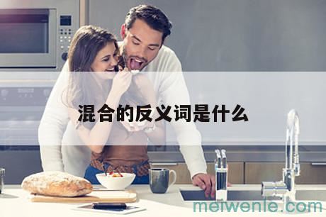 混合的反义词是什么