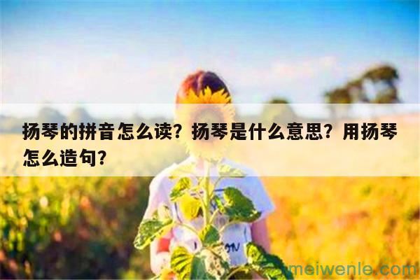 扬琴的拼音怎么读？扬琴是什么意思？用扬琴怎么造句？