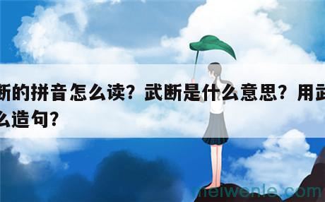 武断的拼音怎么读？武断是什么意思？用武断怎么造句？