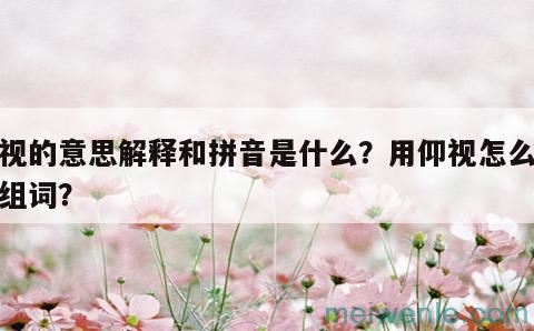 仰视的意思解释和拼音是什么？用仰视怎么造句组词？