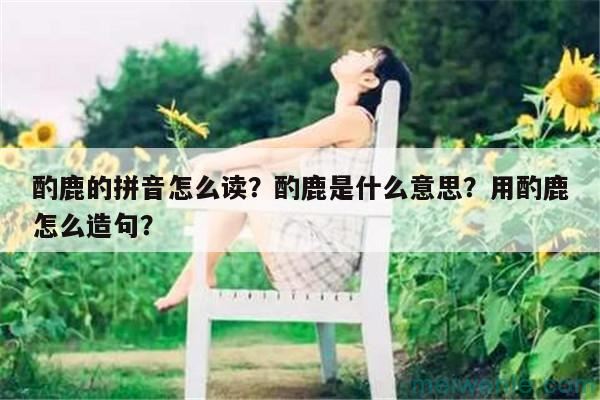 幽静近义词是什么词语？（标准答案）