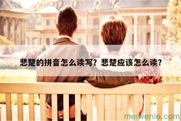 悲楚的拼音怎么读写？悲楚应该怎么读？