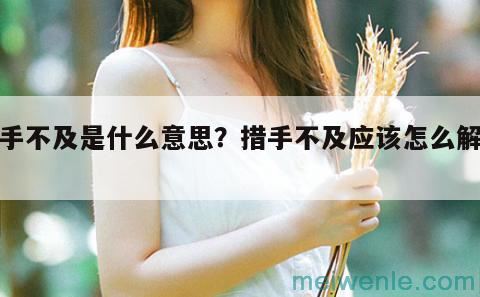 措手不及是什么意思？措手不及应该怎么解释？