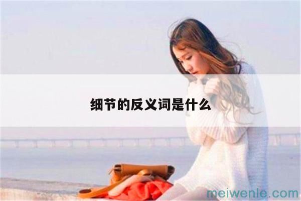 细节的反义词是什么