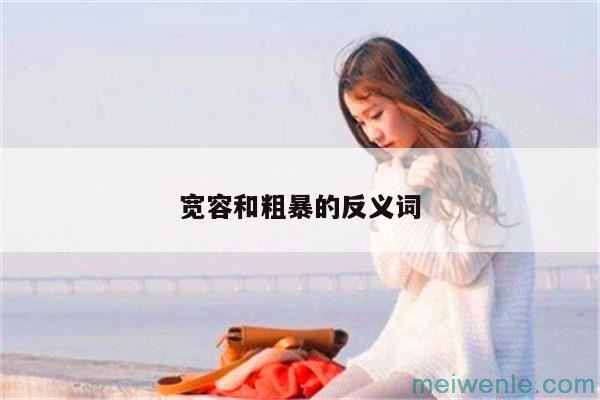 宽容和粗暴的反义词