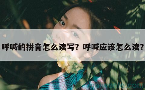 呼喊的拼音怎么读写？呼喊应该怎么读？