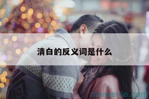 清白的反义词是什么