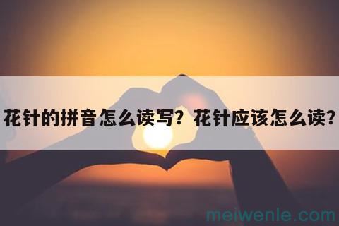 花针的拼音怎么读写？花针应该怎么读？