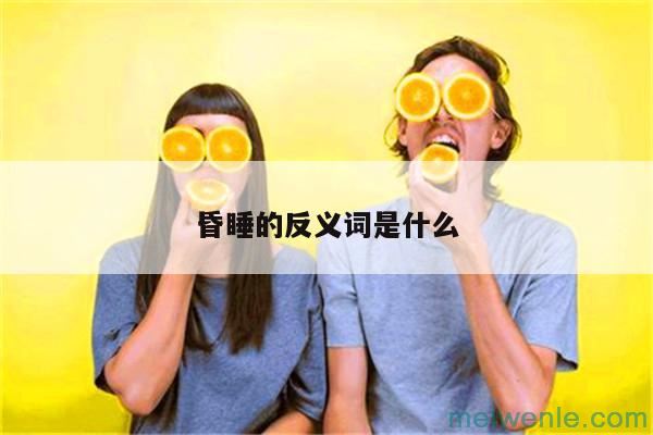 昏睡的反义词是什么