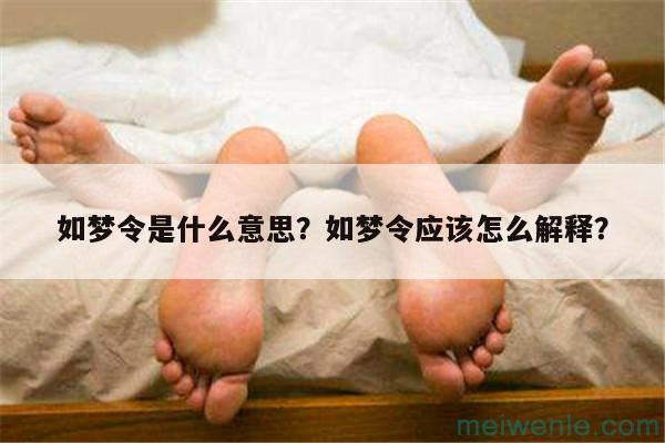 如梦令是什么意思？如梦令应该怎么解释？