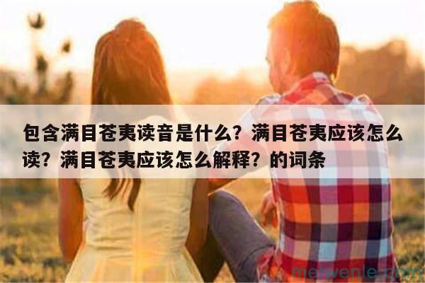 满目苍夷读音是什么？满目苍夷应该怎么读？满目苍夷应该怎么解释？