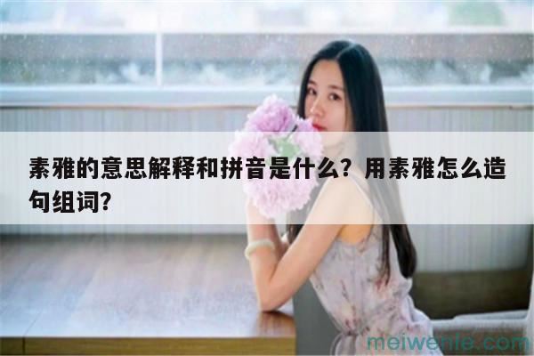 素雅的意思解释和拼音是什么？用素雅怎么造句组词？