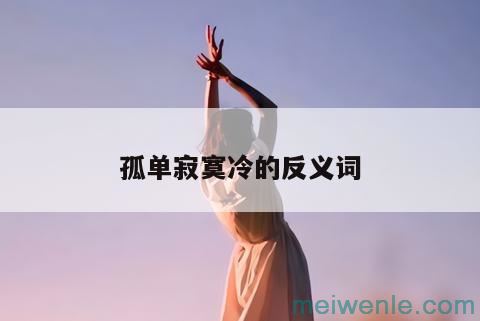 孤单寂寞冷的反义词