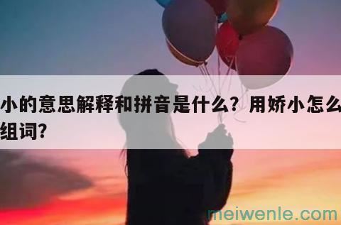 娇小的意思解释和拼音是什么？用娇小怎么造句组词？