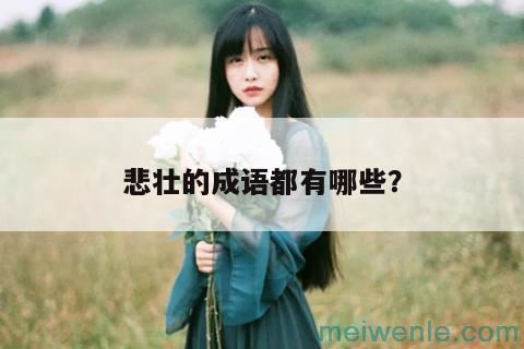 悲壮的成语都有哪些？