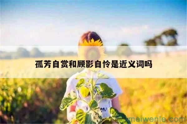 顾影自怜和孤芳自赏的意思和区别( 孤高自认和孤高自认的意义和不同)