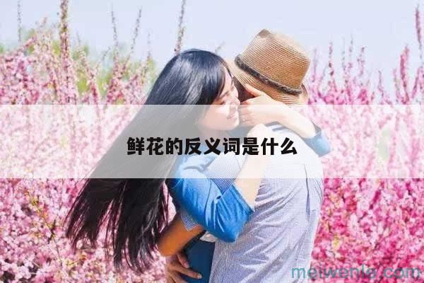 鲜花的反义词是什么( 花束的反义酶是什么)