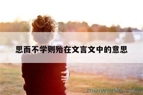 学而不思则罔思而不学则殆什么意思？( 知道学也不想，没学几乎是什么意思？)