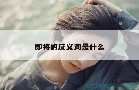 典雅反义词是什么( 雅相反的意思是什么)