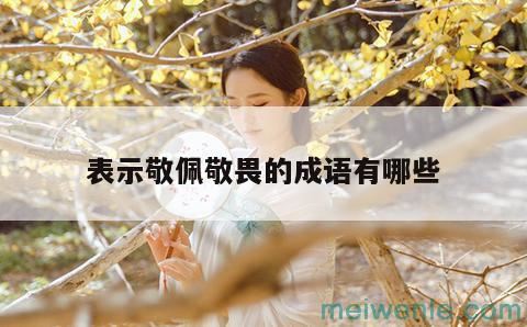 形容“很敬佩”的成语有哪些？( 形容“敬佩”的成语有哪些)